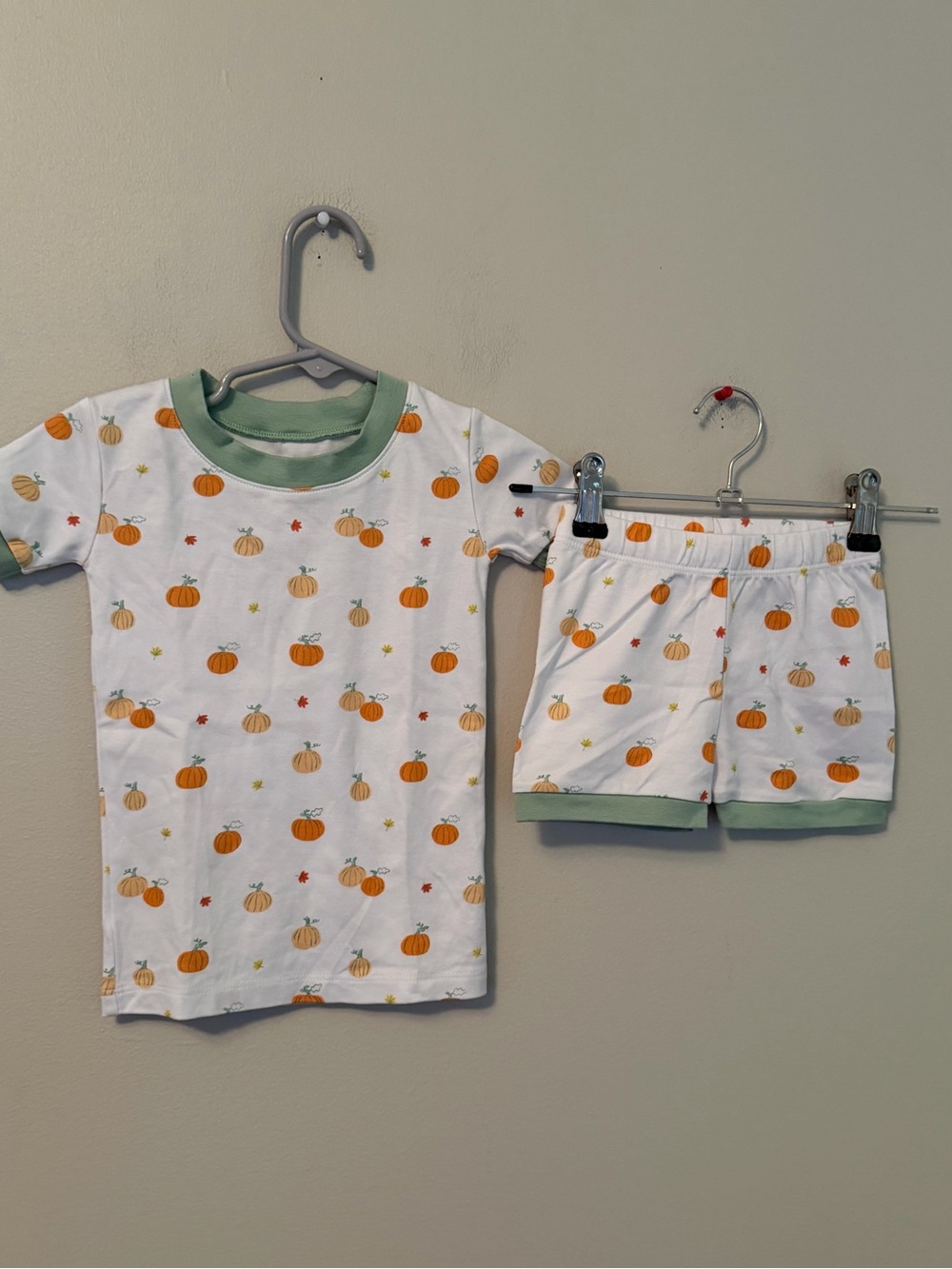 Lake Pumpkin Print Short Pajama Set - White & Green